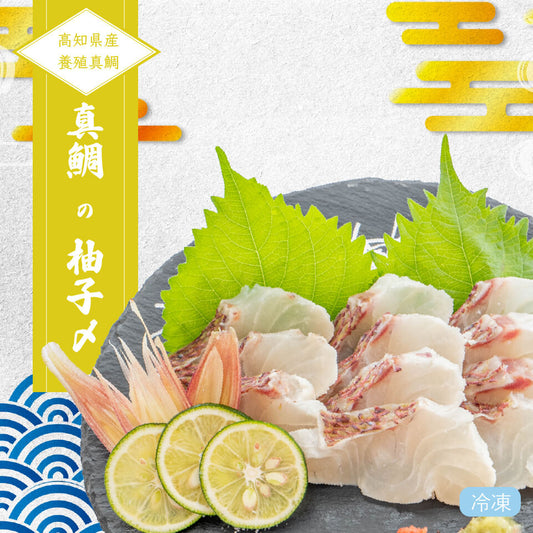 高知県産真鯛の柚子締め（半身分）