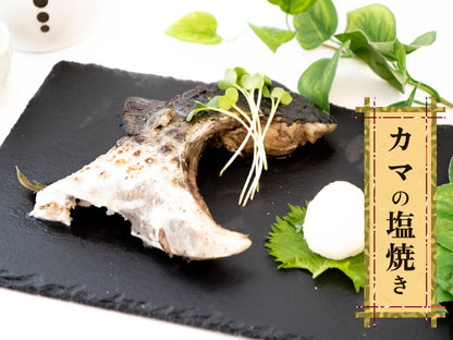 【年末予約専用】 高知県産ブリ　土佐鰤「極美」カマ付フィレ（半身）【鮮魚】【ブリ】