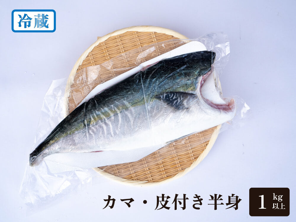 鰤さん専用 年末予約専用】 高知県産ブリ 土佐鰤「極美」カマ付フィレ（半身