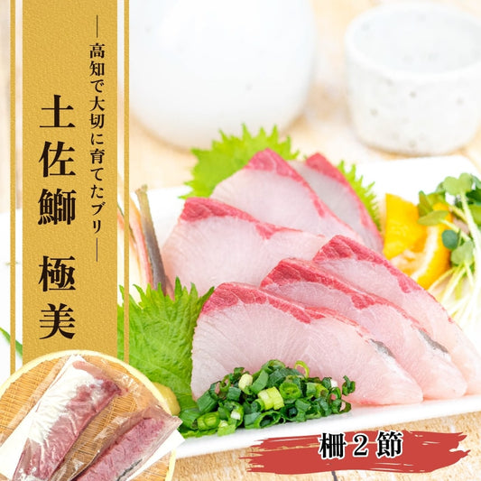 高知県産ブリ　土佐鰤「極美」お刺身用柵２節（半身）【鮮魚】【ブリ】