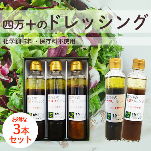 四万十のドレッシング 3本/5本セット