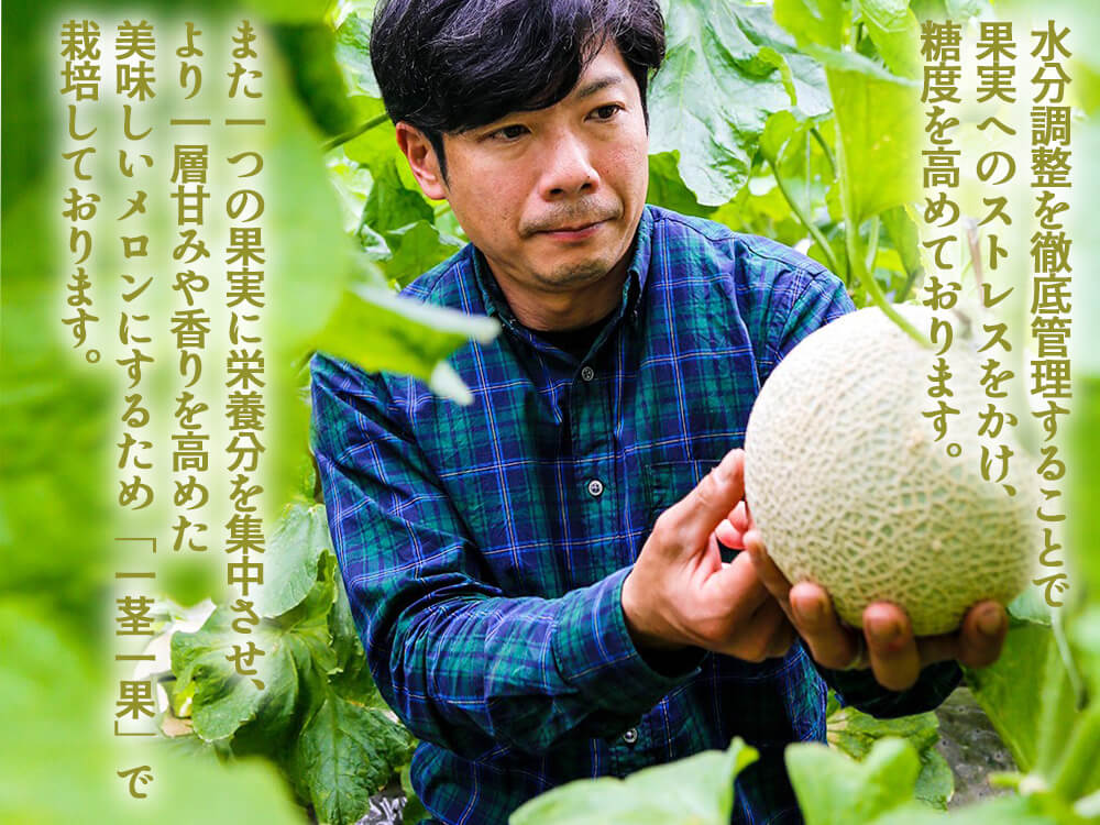 高級マスクメロン2個セット – 高知かわうそ市場