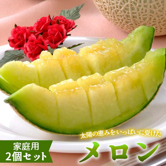 ご家庭用メロン2個セット【訳あり食品】