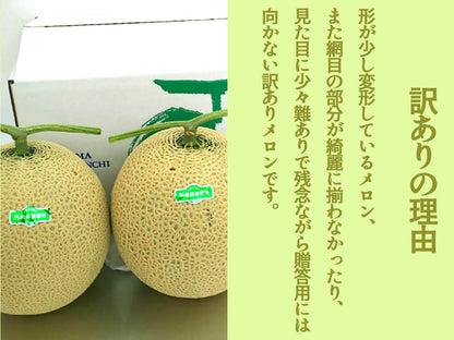 ご家庭用メロン2個セット【訳あり食品】