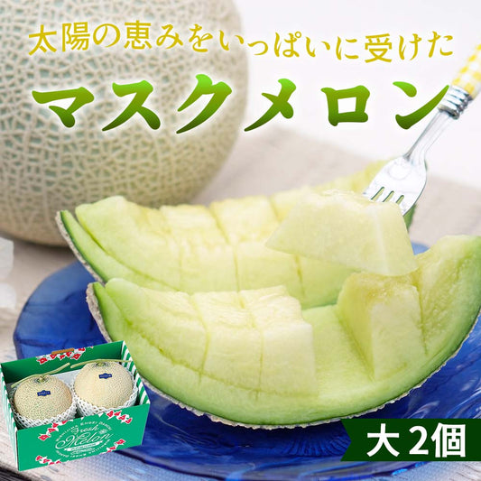 マスクメロン2個（大）セット