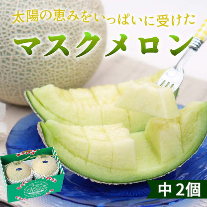 マスクメロン2個（中）セット