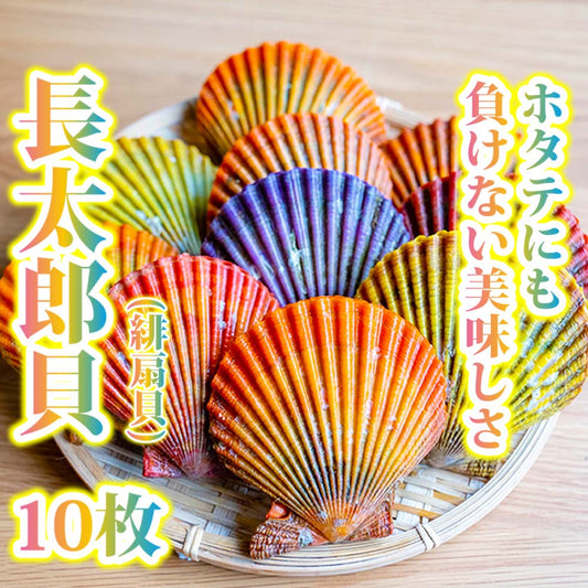 【BBQに最適！】長太郎貝10枚セット！