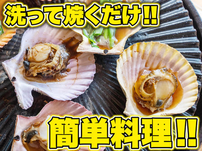 【BBQに最適！】長太郎貝10枚セット！