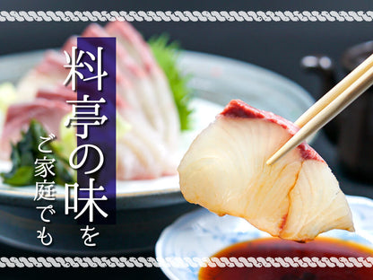 須崎勘八（すさきカンパチ）　半身分　お刺身用柵【鮮魚】【カンパチ】