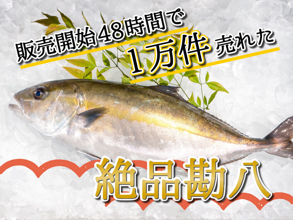 須崎勘八（すさきカンパチ）　半身分　お刺身用柵【鮮魚】【カンパチ】