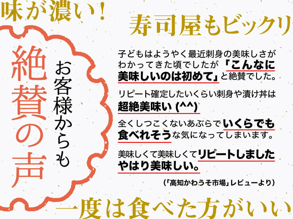 須崎勘八（すさきカンパチ）　半身分　お刺身用柵【鮮魚】【カンパチ】