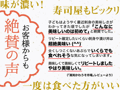 須崎勘八（すさきカンパチ）　半身分　お刺身用柵【鮮魚】【カンパチ】
