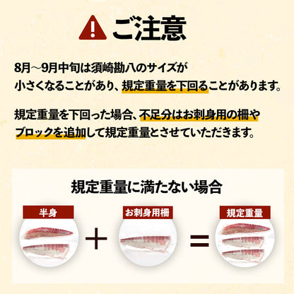 須崎勘八（すさきカンパチ）　半身分　お刺身用柵【鮮魚】【カンパチ】