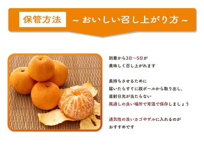 【今季終了】超希少な新品種みかん　西南のひかり 5kg【高知県宿毛市・なるた果樹園】【柑橘】