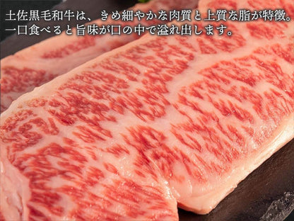 土佐黒毛和牛 サーロインステーキ用 約300g