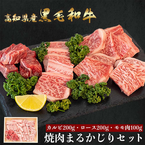 土佐黒毛和牛 焼き肉まるかじりセット 500g/1kg