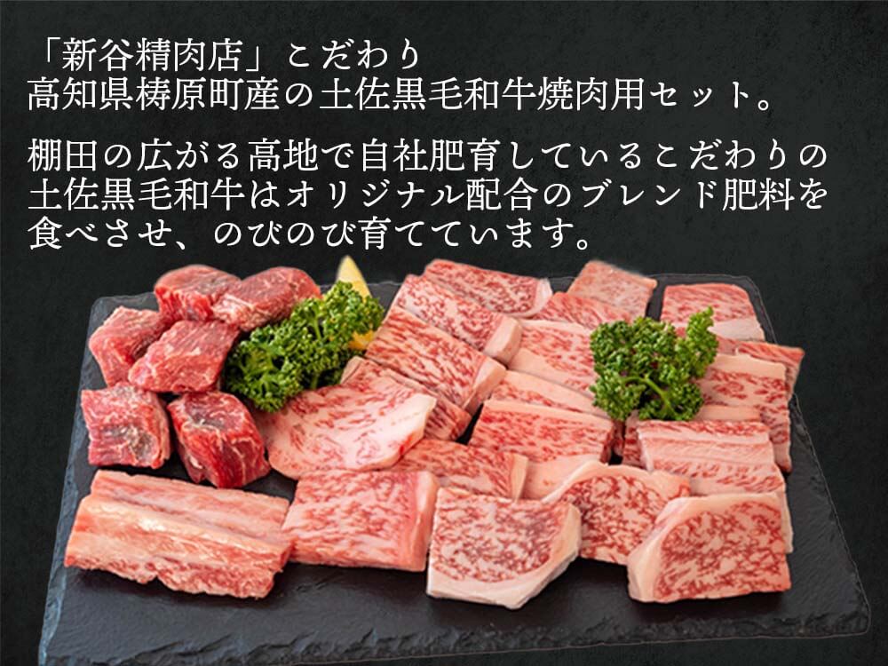 土佐黒毛和牛 焼き肉まるかじりセット 500g/1kg