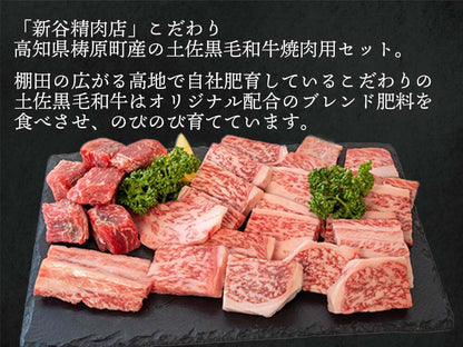 土佐黒毛和牛 焼き肉まるかじりセット 500g/1kg