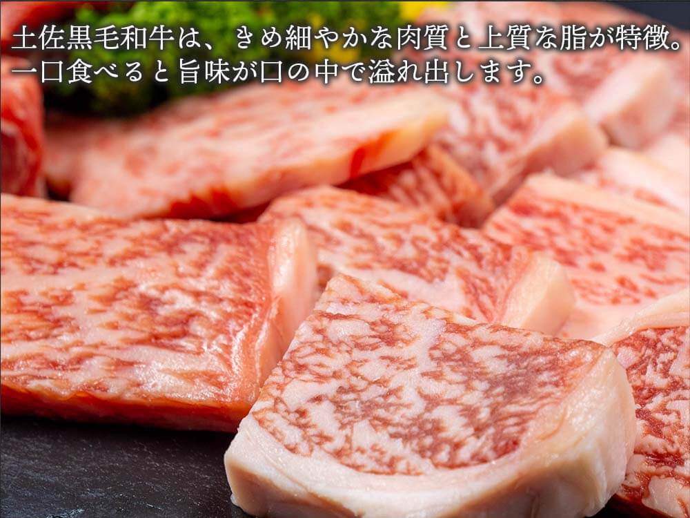 土佐黒毛和牛 焼き肉まるかじりセット 500g/1kg