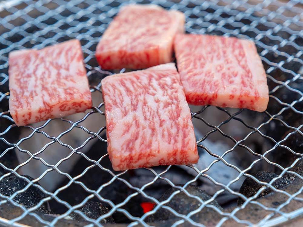 土佐黒毛和牛 焼き肉まるかじりセット 500g/1kg