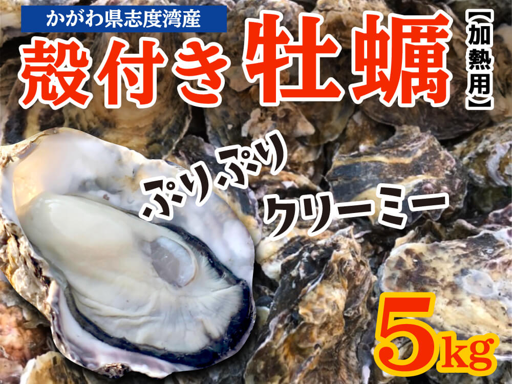 【3/15最終受付】殻付きカキ 約2kg / 約5kg【香川県・志度湾産】