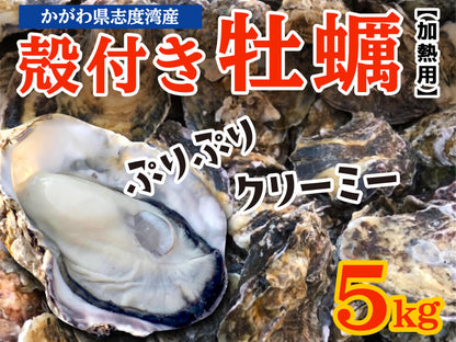 【3/15最終受付】殻付きカキ 約2kg / 約5kg【香川県・志度湾産】