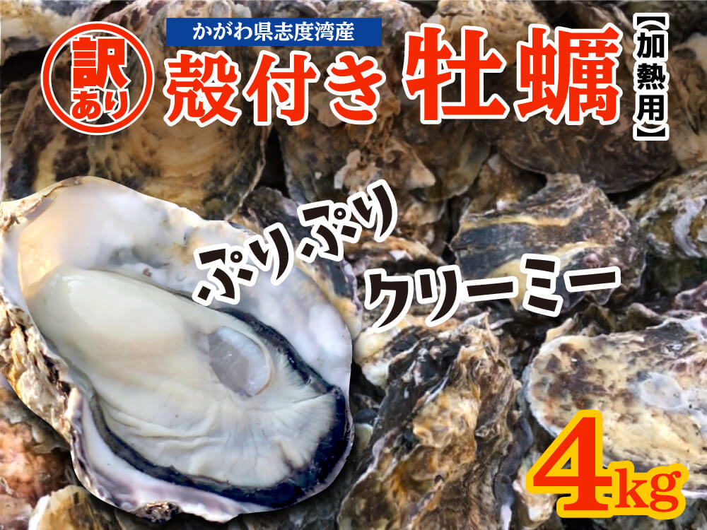 【3/23最終受付】【訳あり】不揃い殻付きカキ 約4kg / 約10kg【香川県・志度湾産】