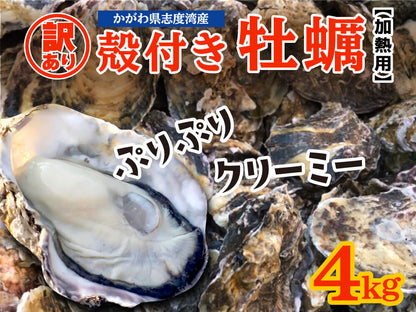 【3/23最終受付】【訳あり】不揃い殻付きカキ 約4kg / 約10kg【香川県・志度湾産】