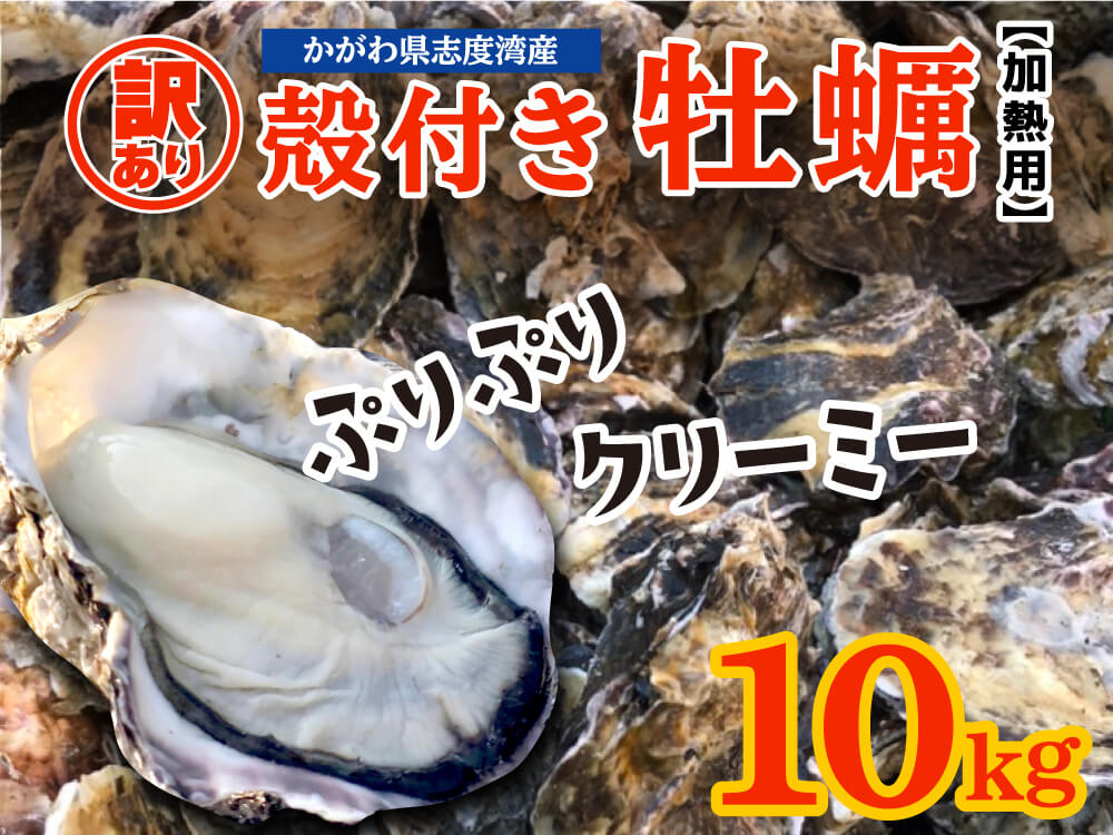 【3/23最終受付】【訳あり】不揃い殻付きカキ 約4kg / 約10kg【香川県・志度湾産】