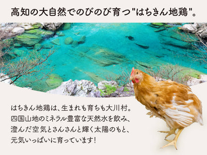 土佐はちきん地鶏骨付きモモ２ｋｇセット【お届け日指定不可】