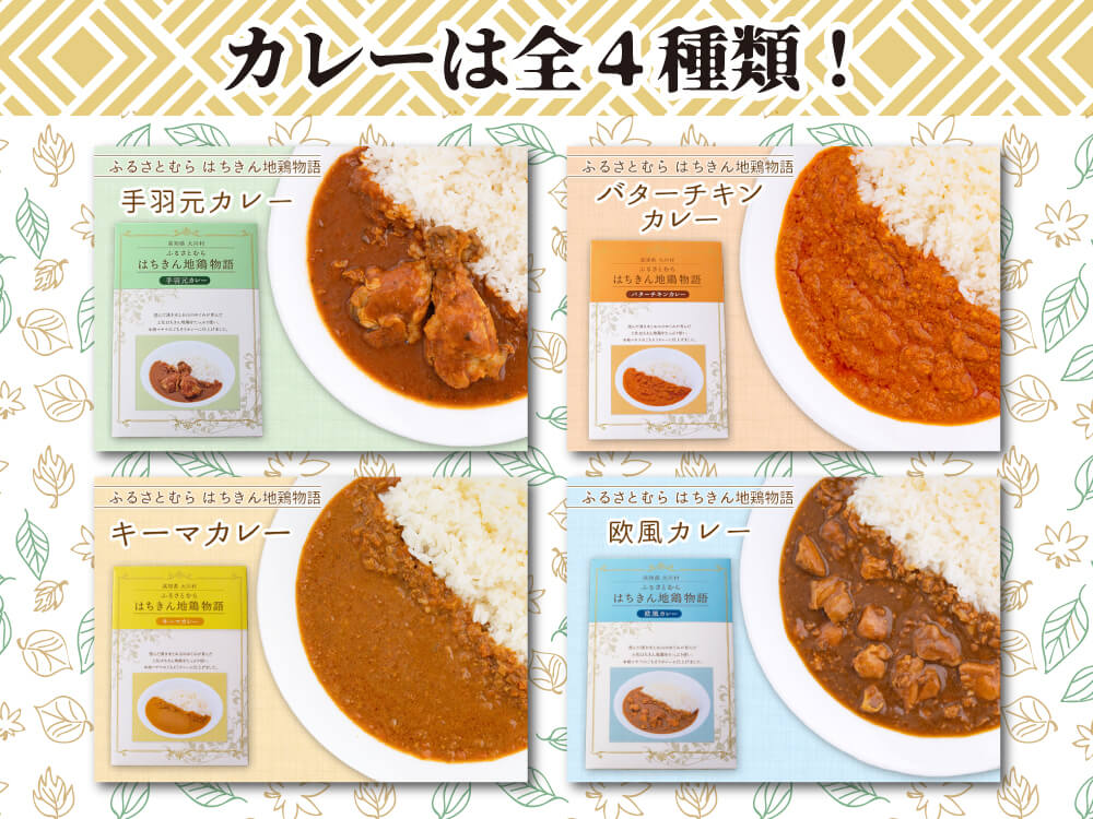 土佐はちきん地鶏カレーセット４種（８人前）【お届け日指定不可】
