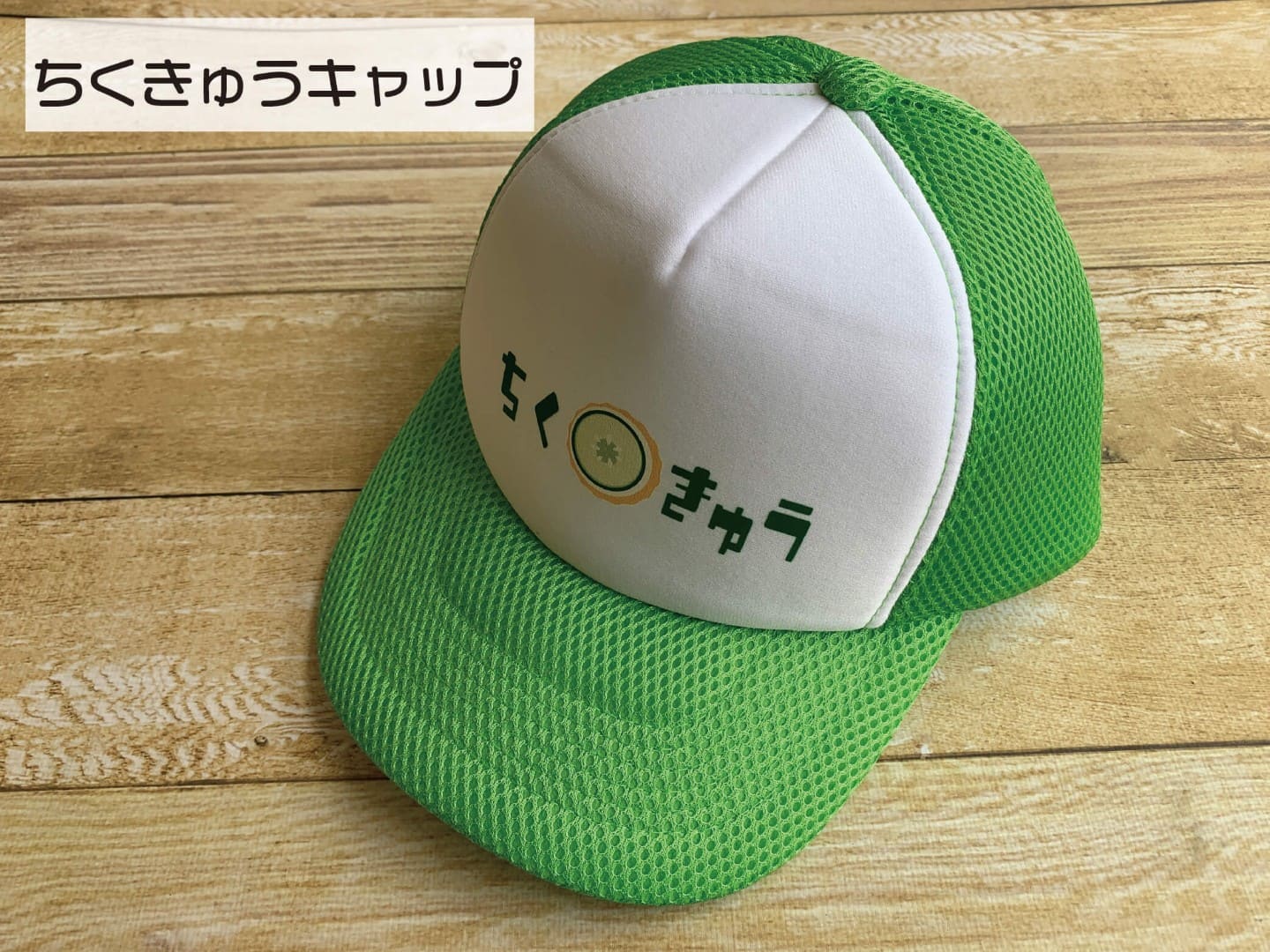 ちくきゅうキャップ【お届け日指定不可】