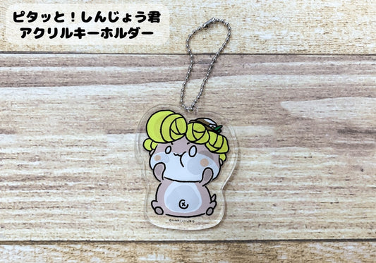ピタッと！しんじょう君