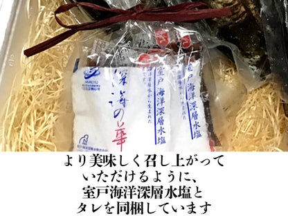 藁焼きカツオのたたき800ｇ以上(タレ・塩つき)【カツオ】