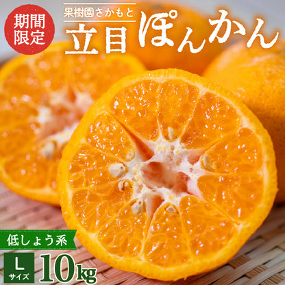 【贈答用】立目ぽんかん  5kg / 10kg【1月上旬〜中旬より出荷】【果樹園さかもと】【柑橘】