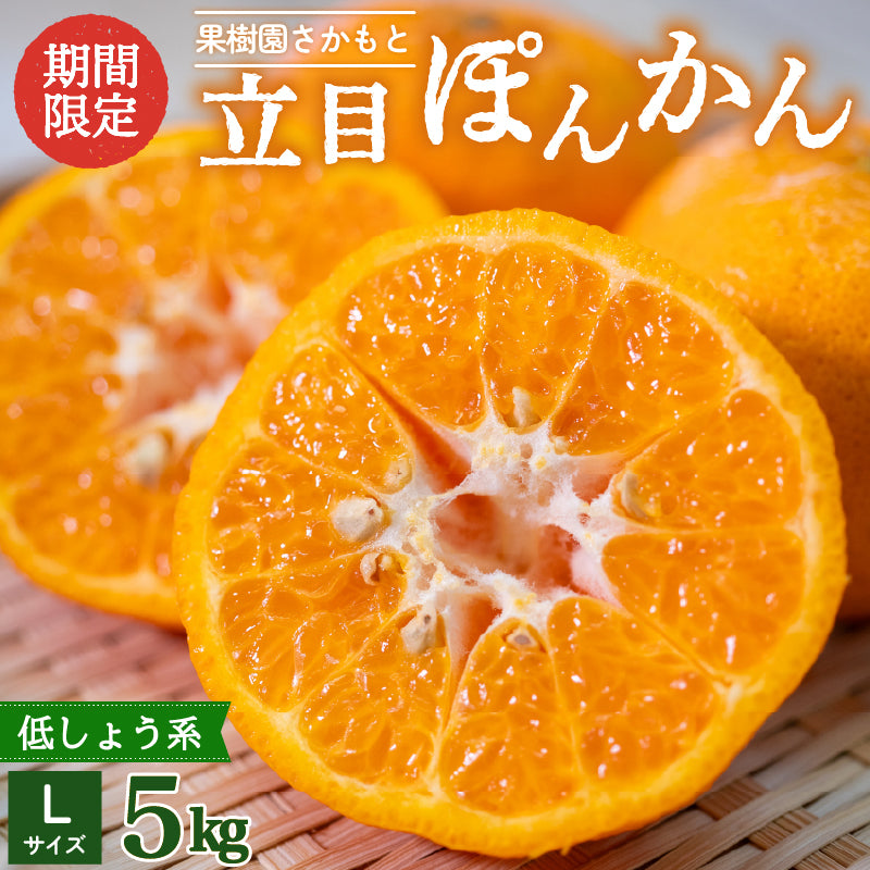 【贈答用】立目ぽんかん  5kg / 10kg【1月上旬〜中旬より出荷】【果樹園さかもと】【柑橘】