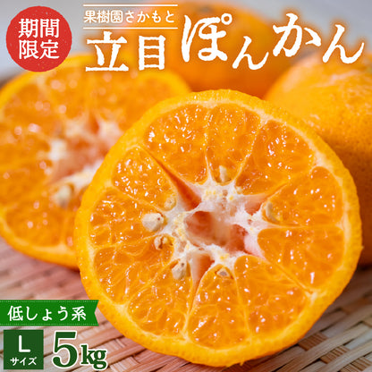 【贈答用】立目ぽんかん  5kg / 10kg【1月上旬〜中旬より出荷】【果樹園さかもと】【柑橘】