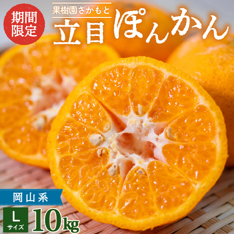 【贈答用】立目ぽんかん  5kg / 10kg【1月上旬〜中旬より出荷】【果樹園さかもと】【柑橘】