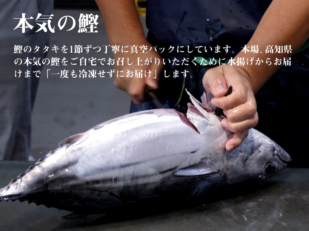 【高知の本気】「極上生カツオの藁焼きたたき」【お届け不可地域あり】【鮮魚】【カツオ】