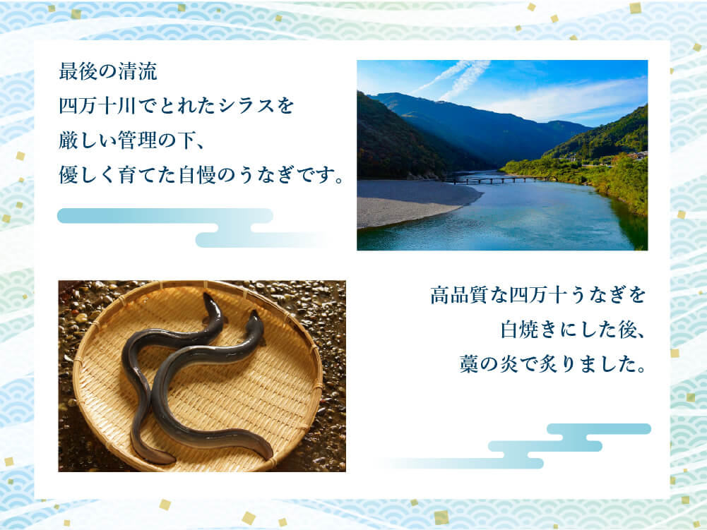 四万十うなぎ藁焼き – 高知かわうそ市場