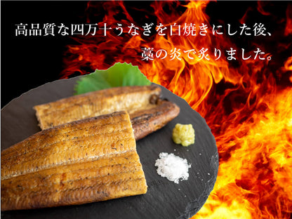 四万十うなぎ藁焼き