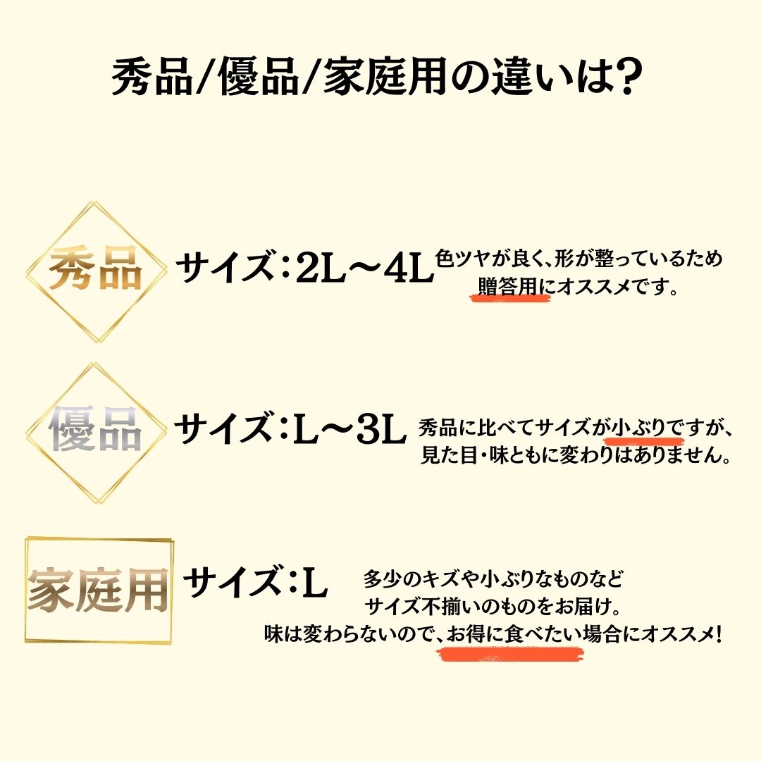 【今シーズン受付終了】須崎市産・土佐文旦 秀品 優品 家庭用 5～10kg【高知県須崎市・北川果樹園】【柑橘】