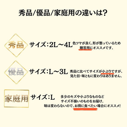 【今シーズン受付終了】須崎市産・土佐文旦 秀品 優品 家庭用 5～10kg【高知県須崎市・北川果樹園】【柑橘】