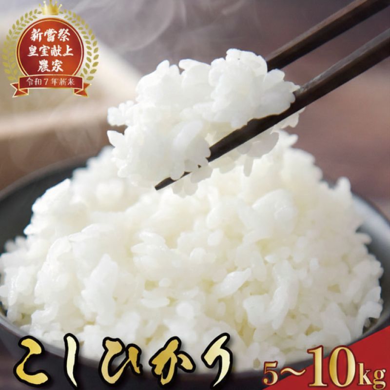 令和7年産 高知県安芸市産 こしひかり