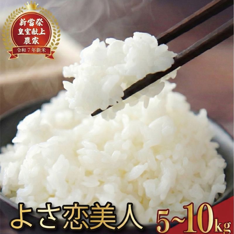 高知県産 よさ恋美人