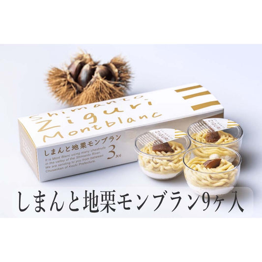 しまんと地栗モンブラン9個セット