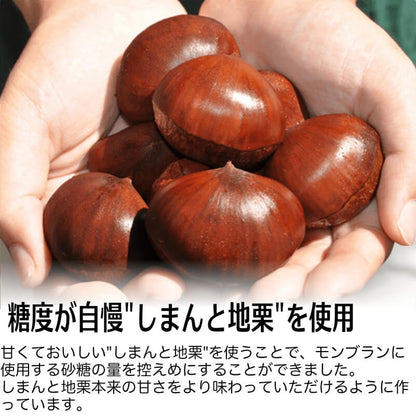 しまんと地栗モンブラン9個セット