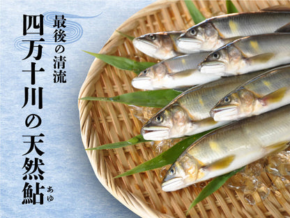 【高知自慢の逸品】最後の清流・四万十川の天然アユ 500g