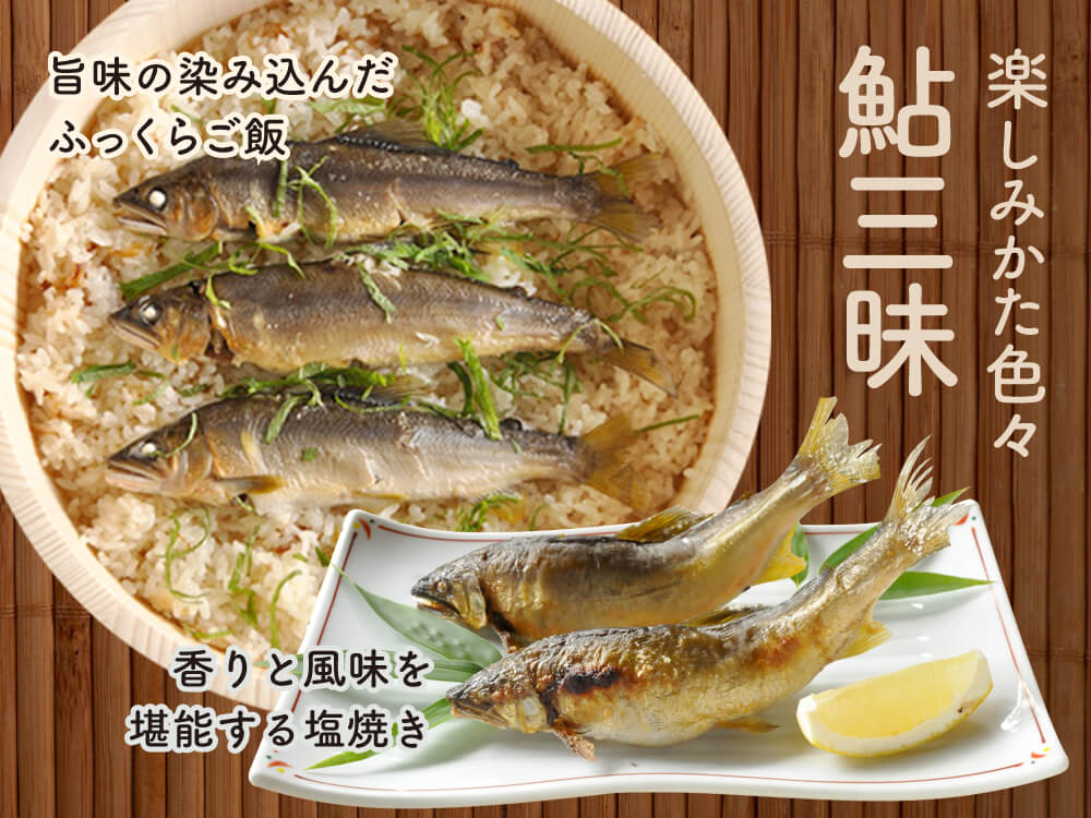 【高知自慢の逸品】最後の清流・四万十川の天然アユ 500g