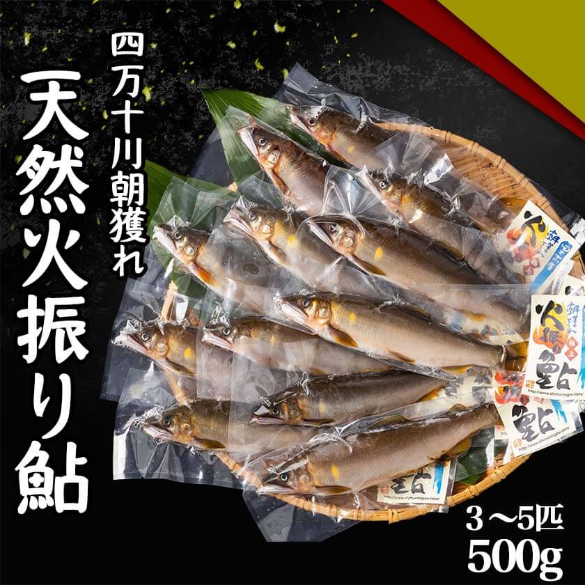 四万十川 朝獲れ 天然火振り鮎